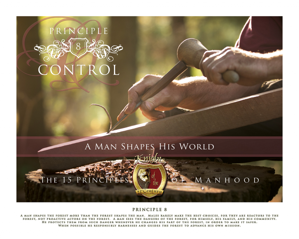 15 Principles of Manhood - Knights of the 21st Century